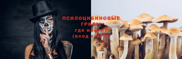 соль ск Алзамай