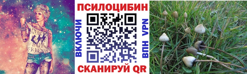 как найти закладки  Зеленоградск  Галлюциногенные грибы ЛСД 